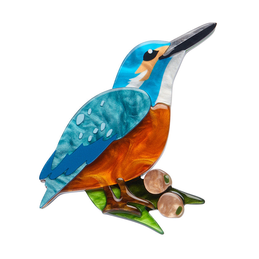 erstwilder australiana flash kingfisher brooch