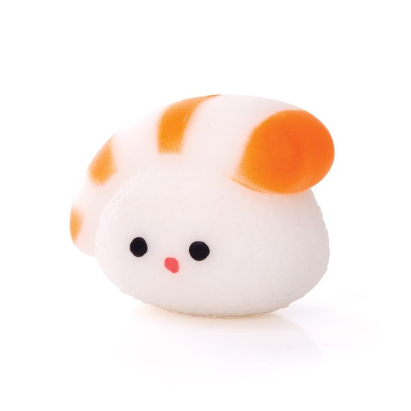 Discovery Zone  Squishy Sush