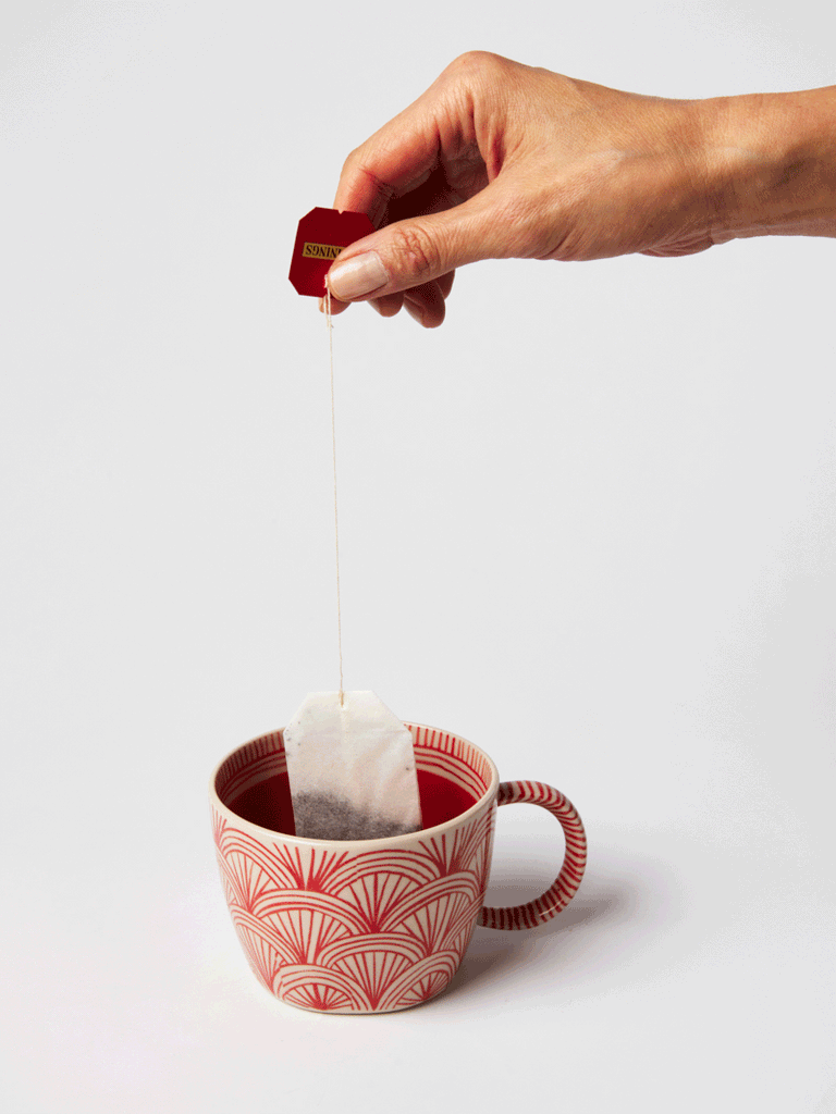 Jones & Co Caravan Mug  Ruby