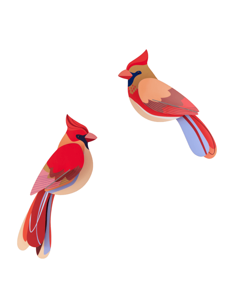 Studio ROOF  Wall Art  Cardinals