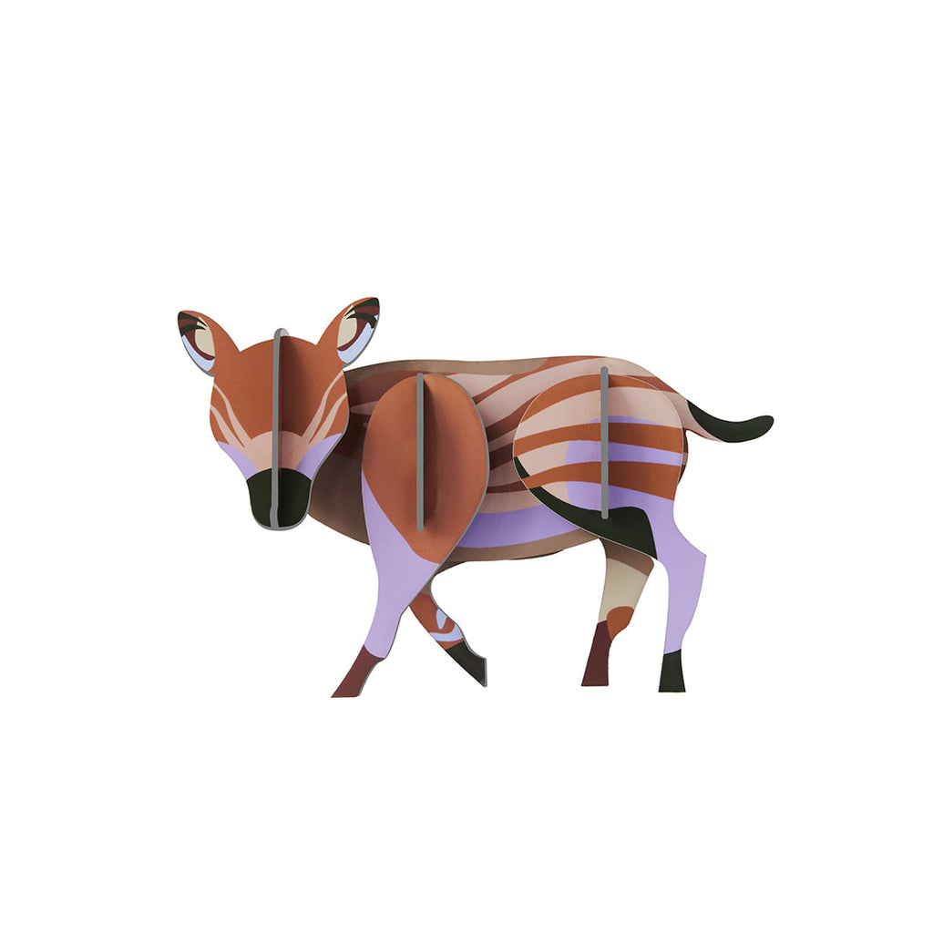 Studio ROOF  Wall Art Jungle Animals Boar Piglet