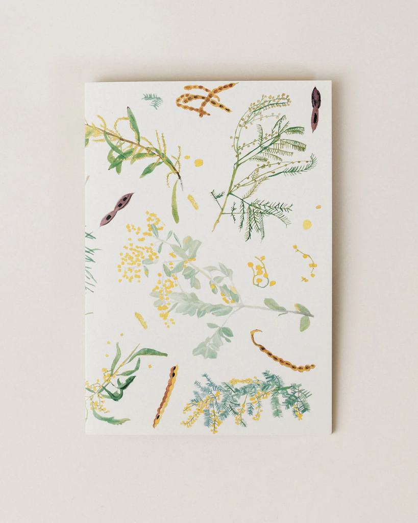 claire mosley notebook