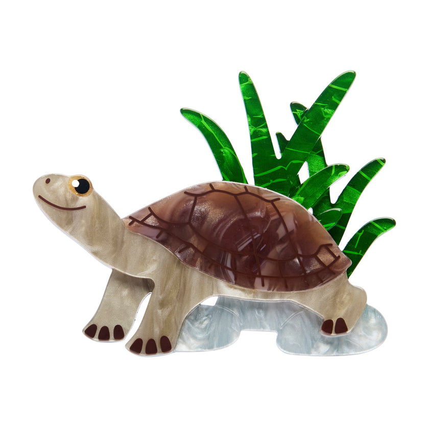 Erstwilder - Australiana Part 2 - rheo river turtle 