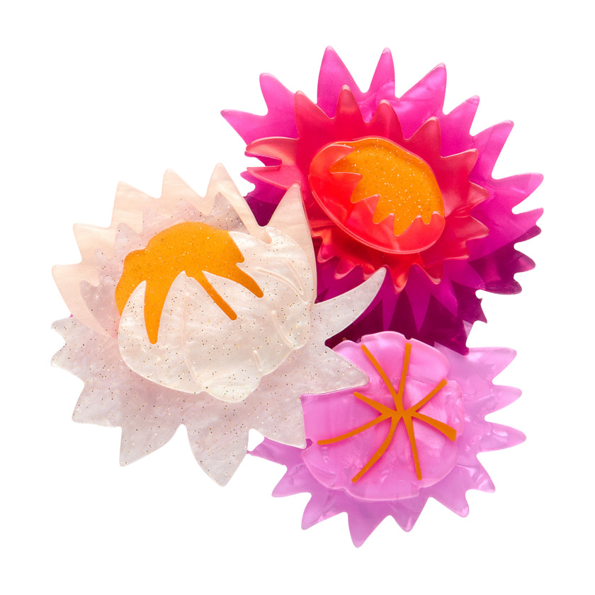 Erstwilder - Australiana 2 - strawflowers