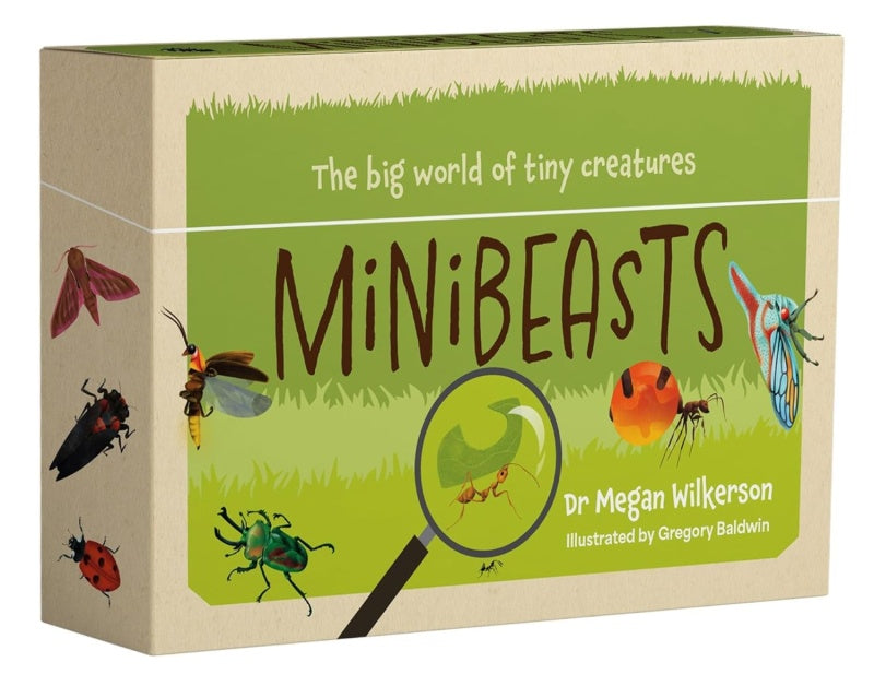 minibeasts card game