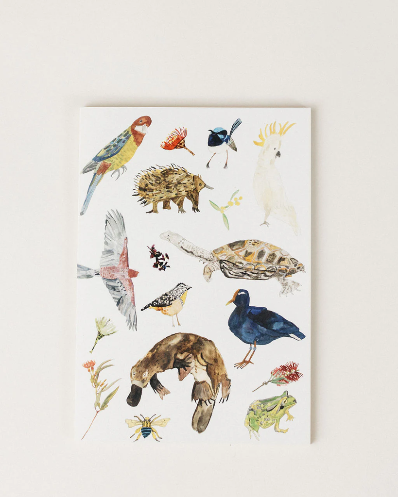 claire mosley notebook