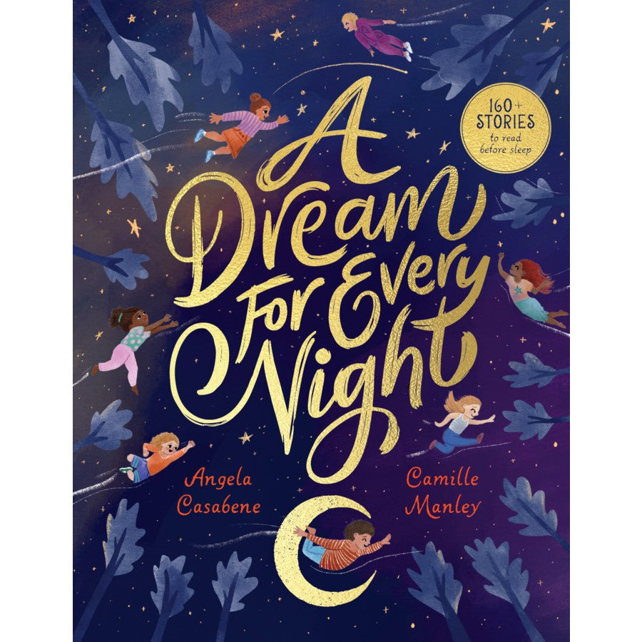 A Dream For Every Night children's book