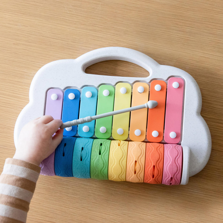 Rainbow Roller Xylophone tiger tribe