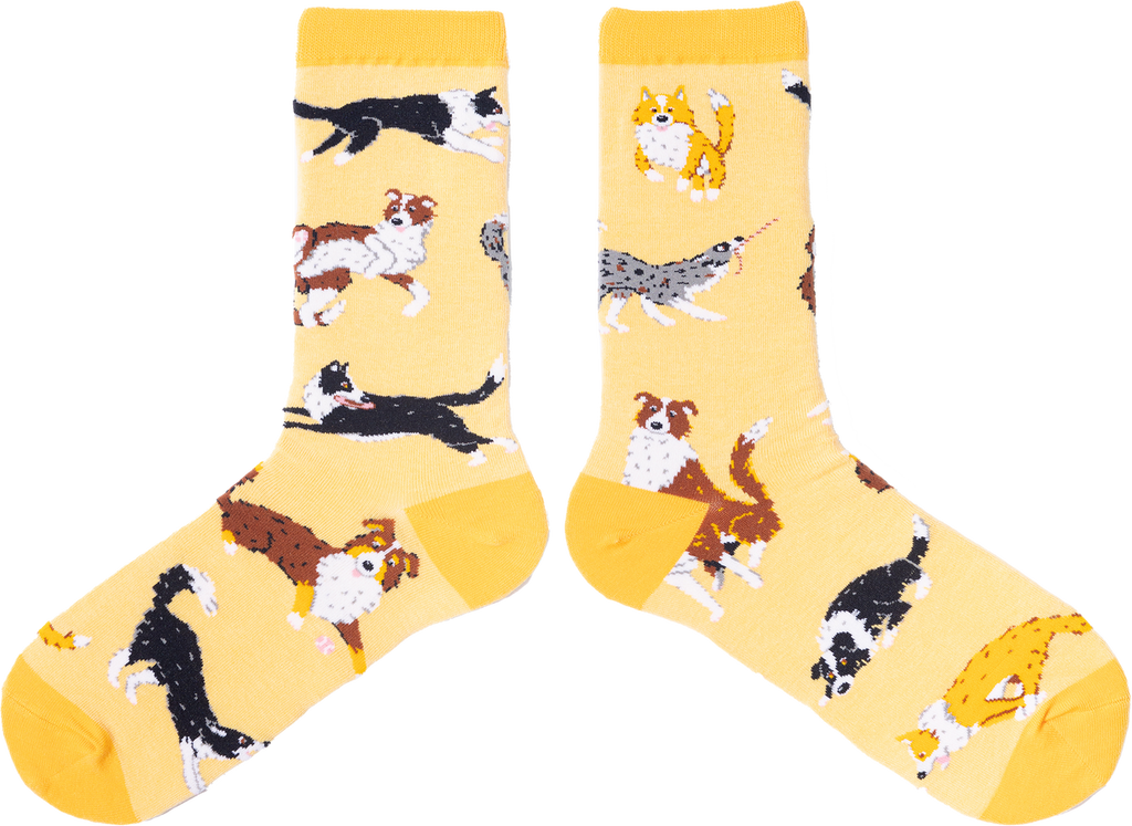 spencer flynn ya heard women's socks