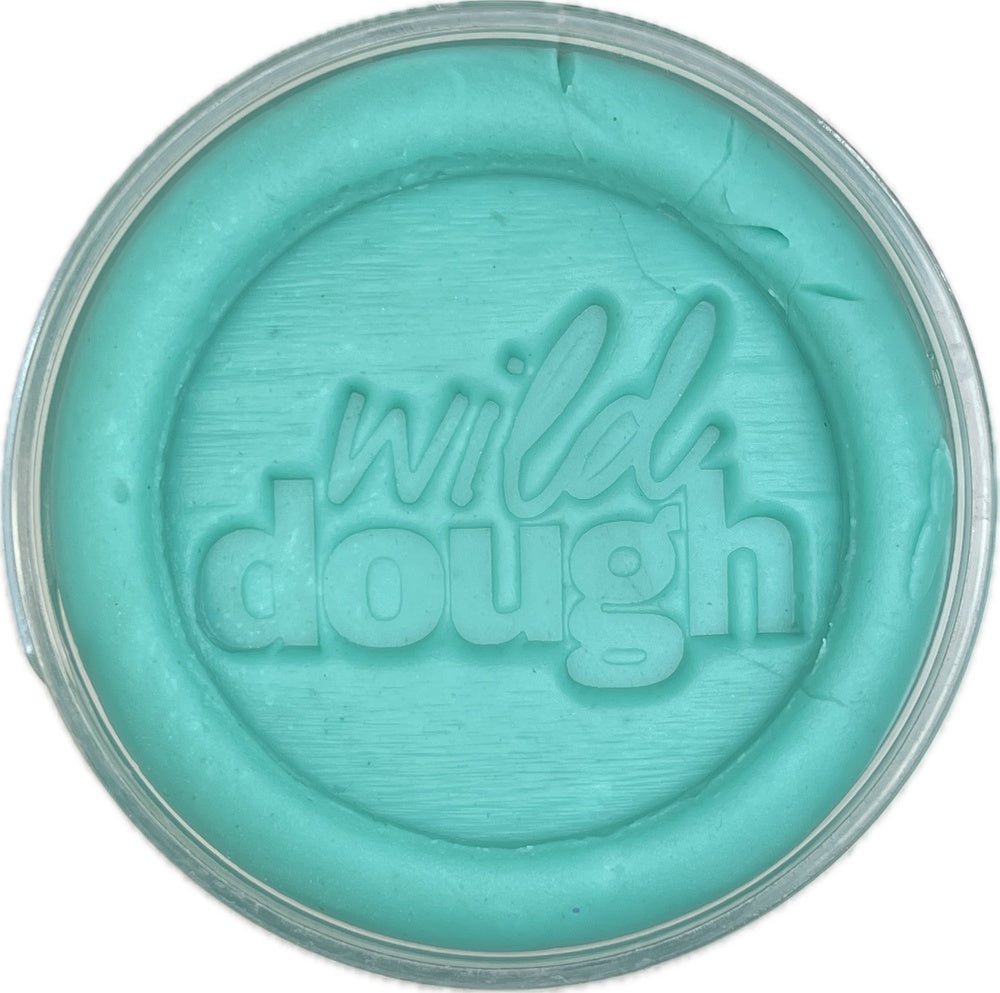 Wild Dough Playdough Jar 280g