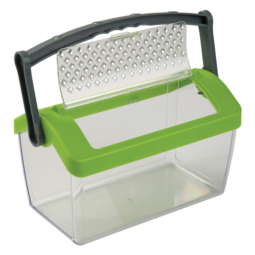 insect box kids toy