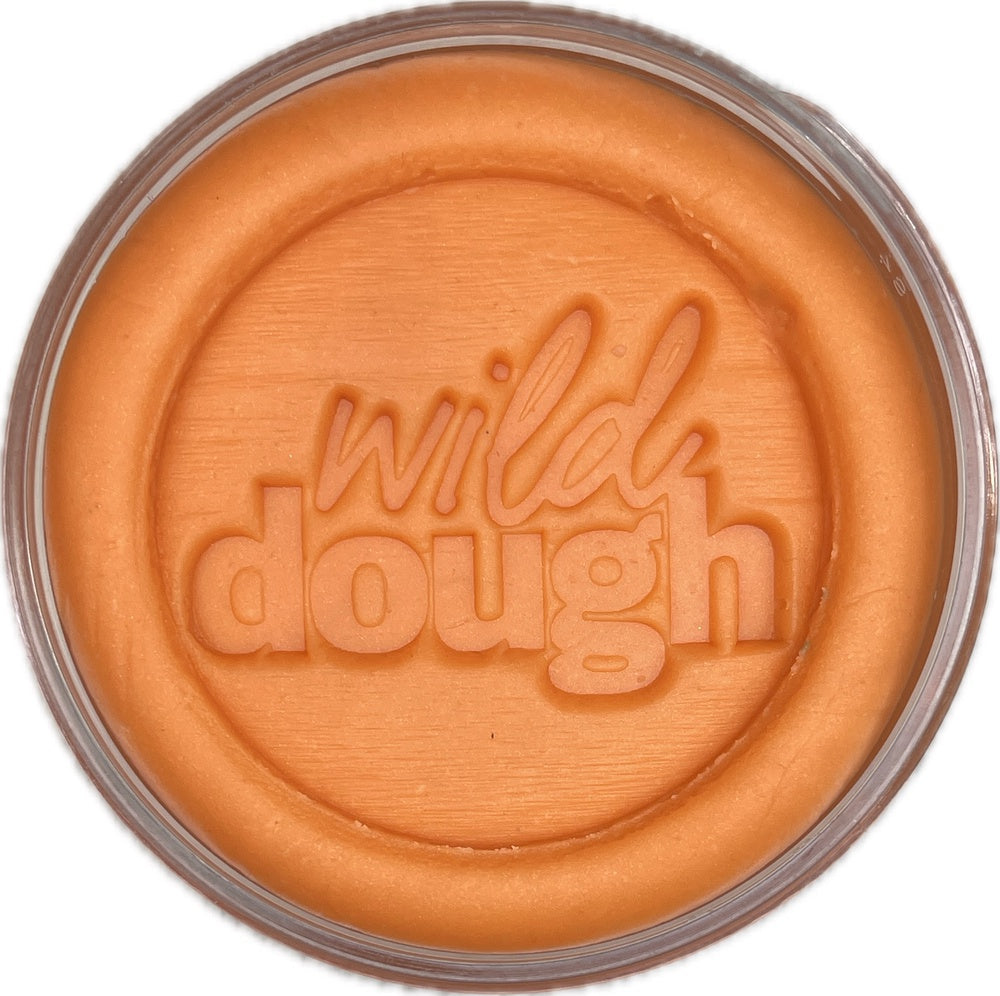 Wild Dough Playdough Jar 280g