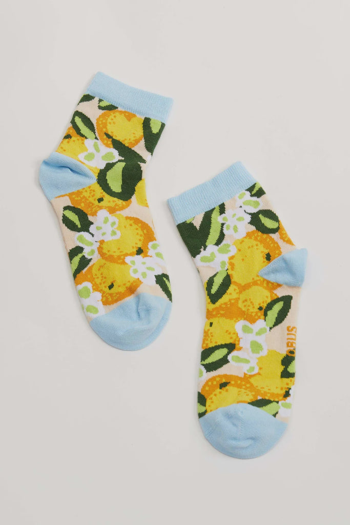 obus-vacanza-short-sock-west-preston-gift-store giocogiro