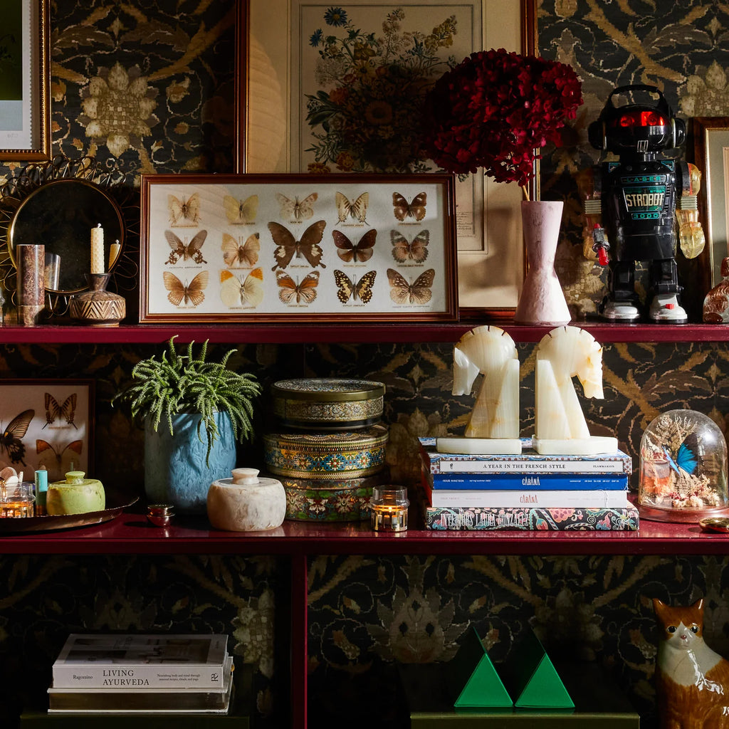sage_clare_halleck_canister_giocogiro_west_preston_gift_store