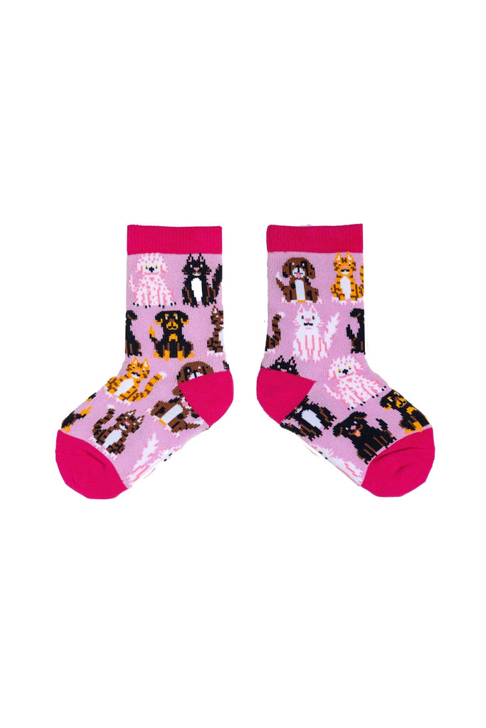 cats and  dogs socks 