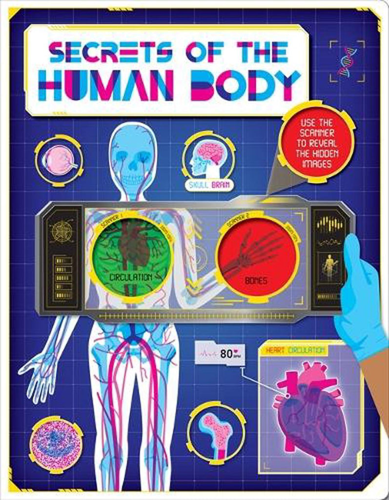 human body 