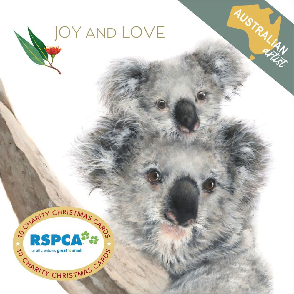 koala christmas cards boxed